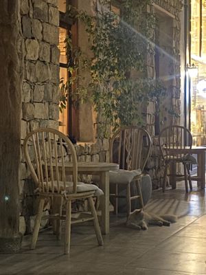   at Moon Shell in Jeddah