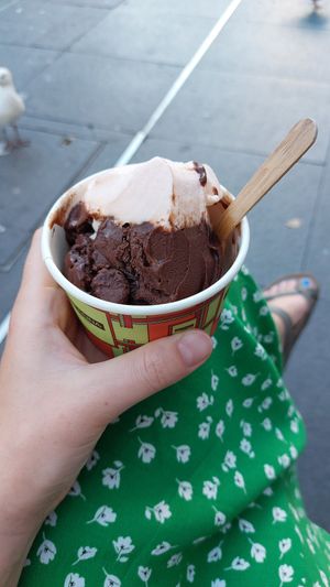 Chocolate sorbet and Mardi Gras special flavour at Gelato Messina in Sydney