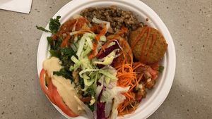 Falafel plate at SYD - Sahara Grill - T1 in Mascot