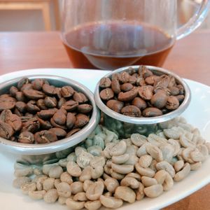 Speciality coffee. Store roasted beans available. at Pain de BRUN in Tokyo