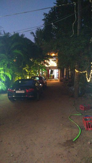  at Vegan Casa in Patnem