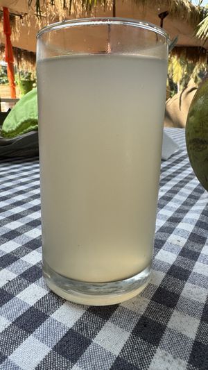 Homemade ginger beer   at Vegan Casa in Patnem