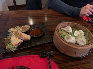 Spring rolls and dim sims  at Jialu in Luzern