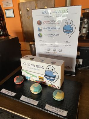   at The Soup Company in Vik