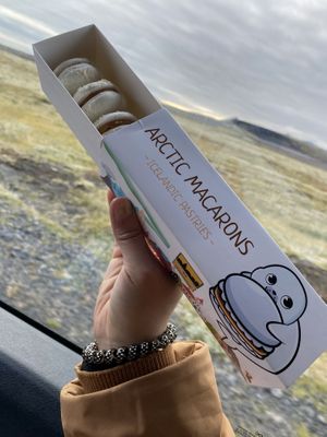 It’s my birthday gift  at The Soup Company in Vik