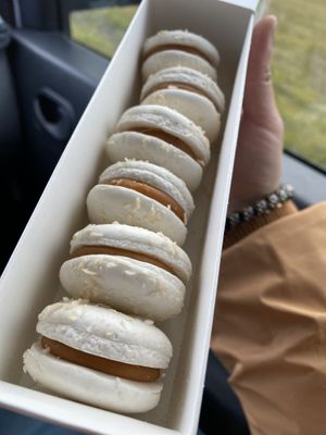   at The Soup Company in Vik