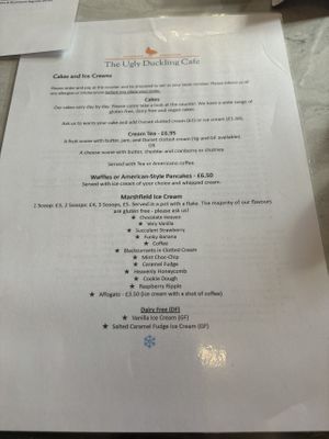 Cakes and ice cream menu   at The Ugly Duckling Cafe in Shaftesbury