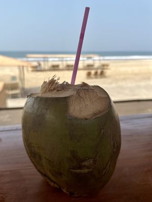 Coconut - 80Rs  at Body & Soul Health Kitchen in Arambol