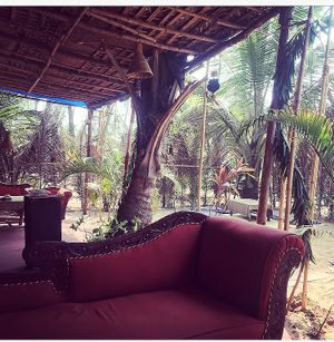 Restaurant  at Body & Soul Health Kitchen in Arambol