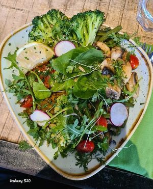  at Organic Kitchen in Casablanca