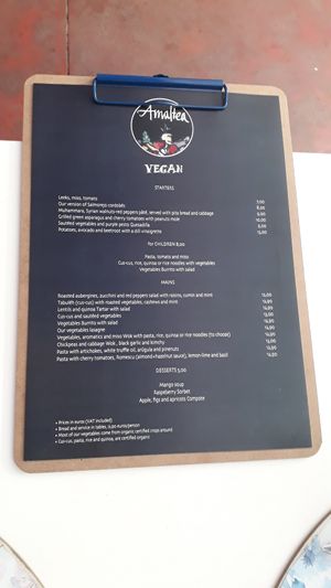 English vegan menu at Restaurante Amaltea in Cordoba