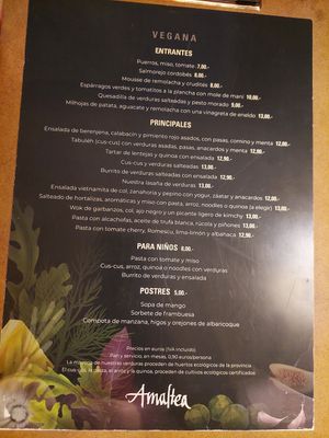 Vegan menu which actually lists vegetarian dishes at Restaurante Amaltea in Cordoba