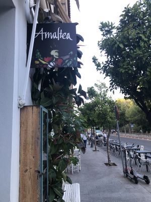   at Restaurante Amaltea in Cordoba