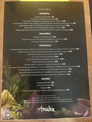 Carta vegana  at Restaurante Amaltea in Cordoba