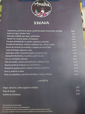 Menu vegano at Restaurante Amaltea in Cordoba