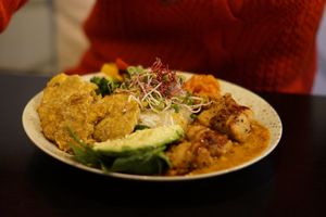 Honkies special at Plantastic's Streetfood Kitchen in Rotterdam