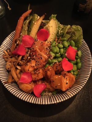 Rice bowl with edamame beans, sticky tofu etc. at Plantastic's Streetfood Kitchen in Rotterdam