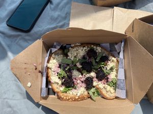 Berry toast  at Root in Newport