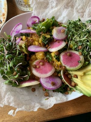 Micro Greens Salad at Nateure's Plate in Peterborough