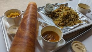 Masala dousa, and biryani at Art of Dosa in Chicago
