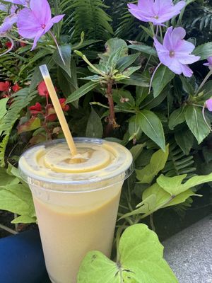   at Art of Dosa in Chicago