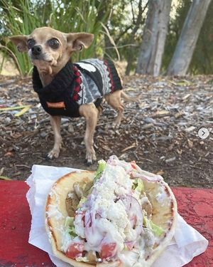 A phenomenal gyro! at Gentle Grill in Temecula