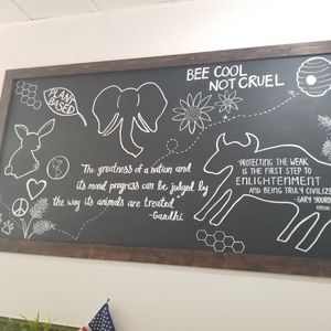 Bee Cool at Gentle Grill in Temecula