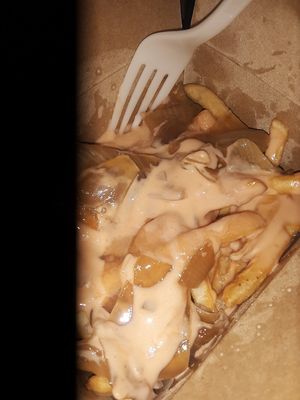 Gentle Fries, 1000 Island, Cheese, Grilled Onions 🤤 at Gentle Grill in Temecula