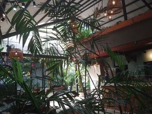  at Nourish in Hoi An