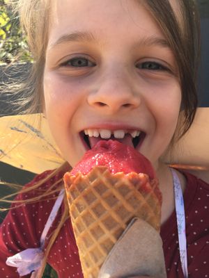 thank you! at Pepita's Artisan Ice Cream in Curl Curl