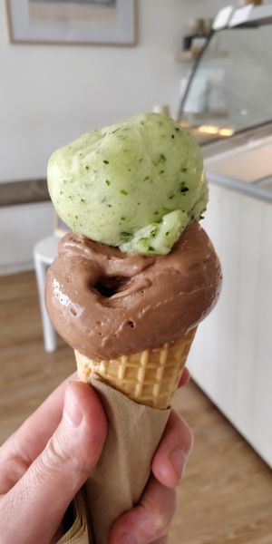 Chocolate sorbet, and cucumber mint lime sorbet (made to go with gin!) at Pepita's Artisan Ice Cream in Curl Curl
