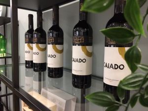 . at Donna Veggie in Guimaraes