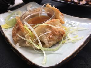 Appetizer dish - dumplings at Legumi Sushi Vegan in Lisbon
