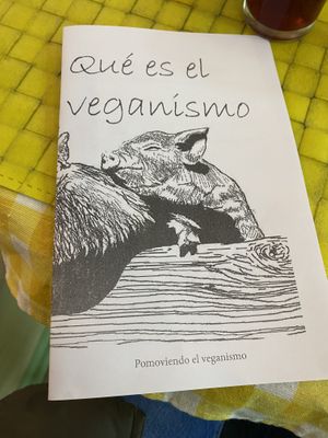   at Veggie Lunch in Santiago