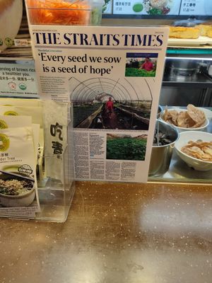 stall front at Thunder Tree 擂茶树 - VivoCity in Central Singapore