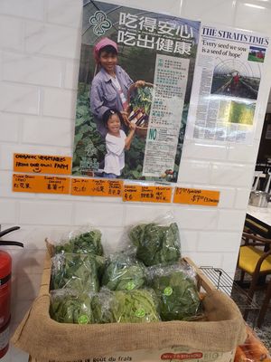 Organics veges from their own farm ~ Circuit Breaker Period Phrase 2 at Thunder Tree 擂茶树 - VivoCity in Central Singapore