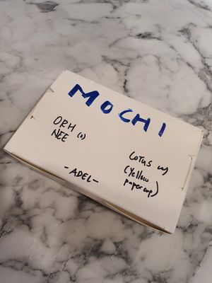 Mochi mochi 😍 ~ Circuit Breaker Period Phase 2 at Thunder Tree 擂茶树 - VivoCity in Central Singapore