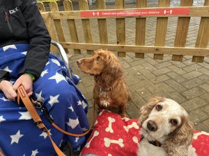   at Buffers in Pwllheli