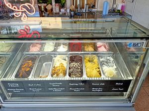 12 Egan flavours and all amazing. #Veganuary at Island Gelato Company in Auckland