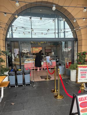   at Island Gelato Company in Auckland