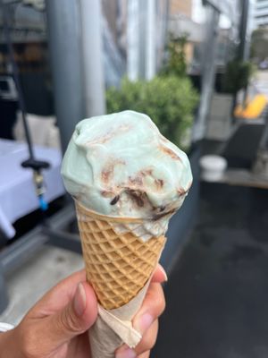   at Island Gelato Company in Auckland