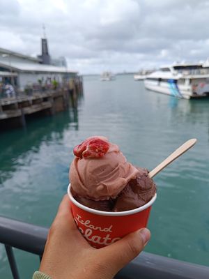  at Island Gelato Company in Auckland