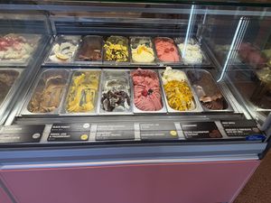   at Island Gelato Company in Auckland