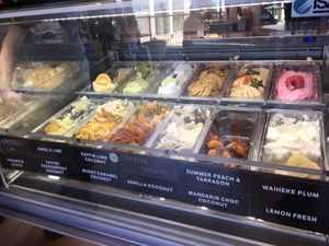 All Vegan! at Island Gelato Company in Auckland
