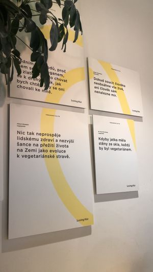   at Loving Hut - Zlicin in Prague