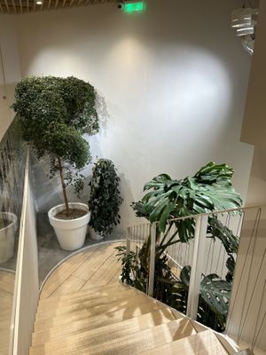   at Loving Hut - Zlicin in Prague