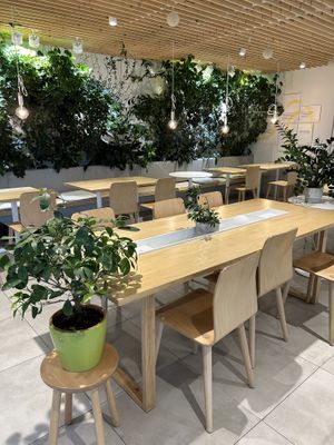   at Loving Hut - Zlicin in Prague