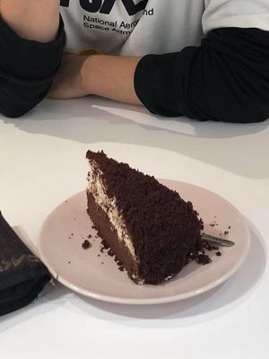 Amazing mole cake!  at Loving Hut - Zlicin in Prague