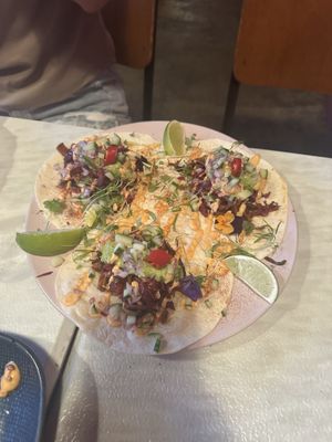 Taco   at Tyranny of Distance in Windsor