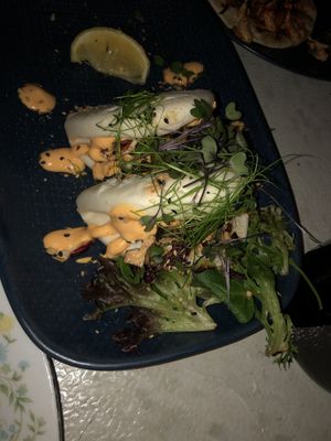 Korean boa sliders at Tyranny of Distance in Windsor